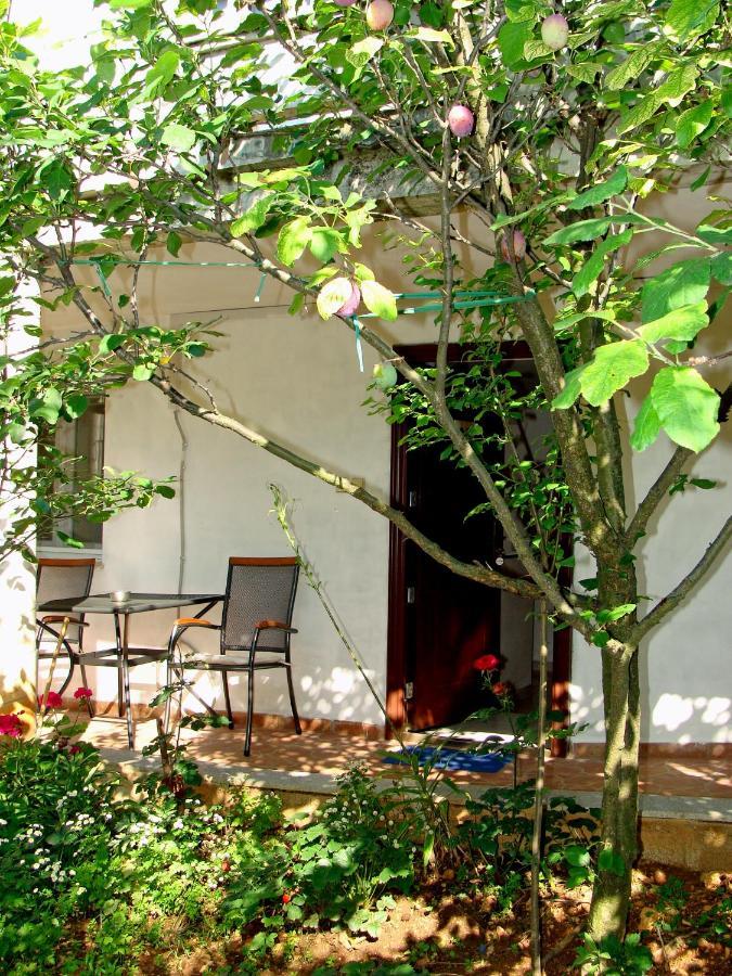 Apartments Meli Zadar Extérieur photo